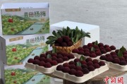 梦见捕鱼高速赋能产业升级：一条“杨梅路”的致富密码