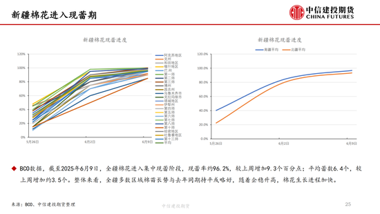 【棉花纺谈】供应端阶(👼)段性缩量 疆棉基差坚挺